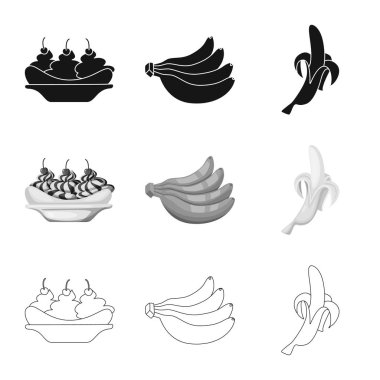 Doğal ve vejetaryen simge vektör tasarımı. Doğal ve yeme hisse senedi simgesi için web topluluğu.