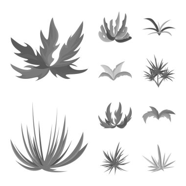 Yeşillik ve çiçek simgesi izole nesne. Web için yeşillik ve yaz stok sembolü koleksiyonu.