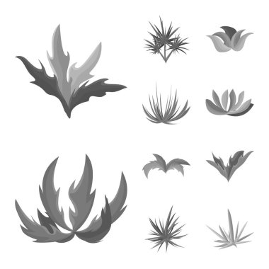 Yaprak ve çiçek işareti izole nesne. Web için yeşillik ve yaz stok sembolü koleksiyonu.