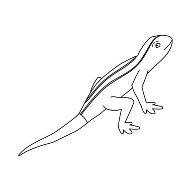 Kertenkele ve kuyruk logosu vektör illüstrasyon. Kertenkele ve iguana stok vektör illüstrasyon koleksiyonu.