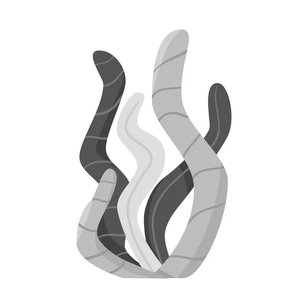 Vektor illustration av tång och korall symbol. Uppsättning tång och grön Stock symbol för webben. — Stock vektor