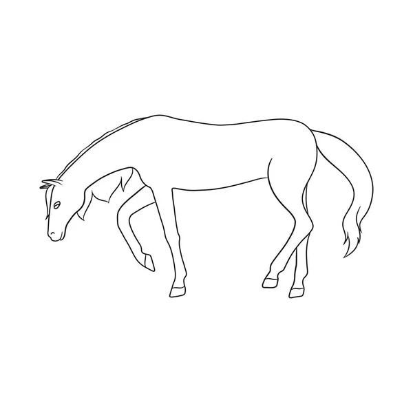 Objeto aislado de carrera y signo de caballo. Colección de ilustración de vectores de stock en funcionamiento y con pezuñas . — Archivo Imágenes Vectoriales