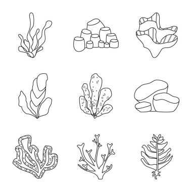 Deniz ve okyanus logosu vektör illüstrasyon. Deniz ve flora stok vektör illüstrasyon koleksiyonu.