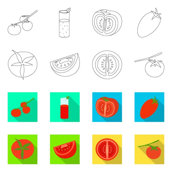 Vektor illustration av grönsak och läcker symbol. Uppsättning av vegetabiliska och naturliga Lager vektor illustration. — Stock vektor