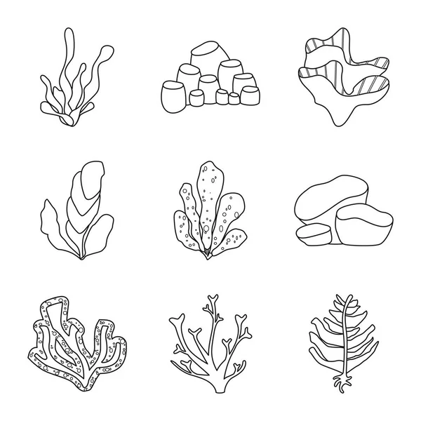 Deniz ve okyanus logosu vektör illüstrasyon. Deniz ve flora stok vektör illüstrasyon koleksiyonu.