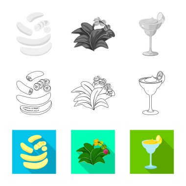 Doğal ve vejetaryen simge vektör Illustration. Web için doğal ve yeme hisse senedi simgesi kümesi.