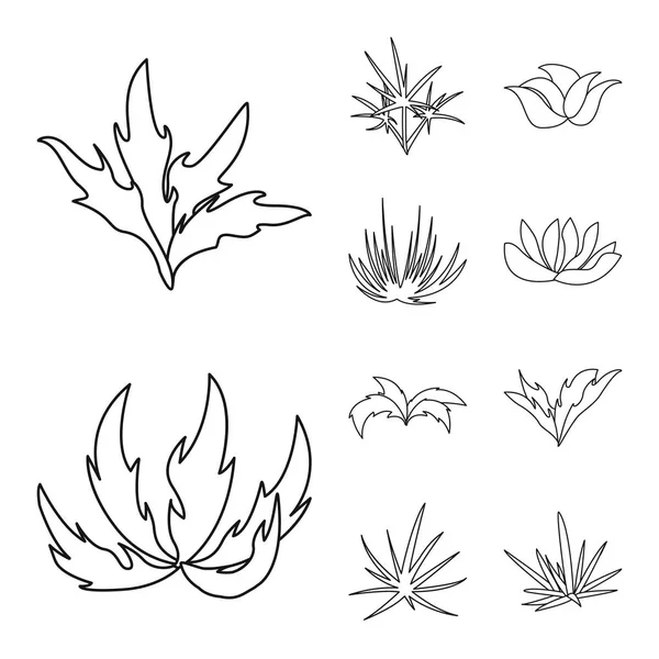 Objet isolé de haie et d'arbuste symbole. Ensemble de haie et icône vectorielle florale pour stock . — Image vectorielle