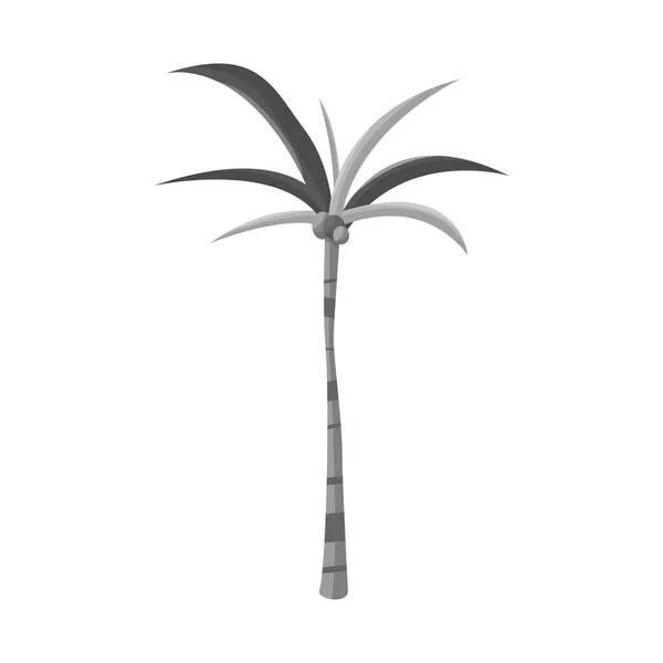 Diseño vectorial de palma y símbolo exótico. Colección de palma y tronco símbolo de stock para web . — Vector de stock