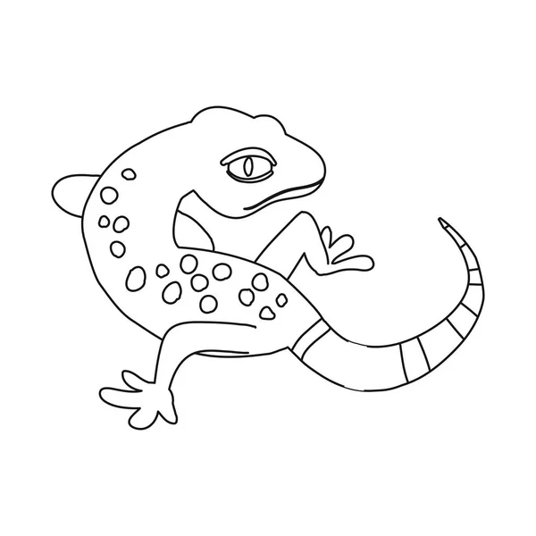 Isoliertes Objekt mit Gecko und Eidechsenlogo. Set aus Gecko und niedlichem Vektor-Symbol für Aktien. — Stockvektor