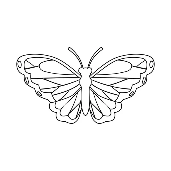 Vektorový návrh ikony motýla a stvoření. Kolekce ikon pro populaci motýla a divoké zvěře. — Stockový vektor