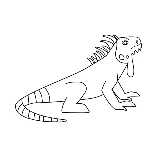 Wektor ilustracji Iguana i jaszczurki znak. Kolekcja Iguana i kolorowa ikona wektorowa na czas. — Wektor stockowy