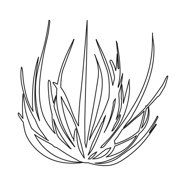Diseño vectorial de tumbleweed e icono seco. Colección de tumbleweed y vector de valle icono para stock . — Vector de stock