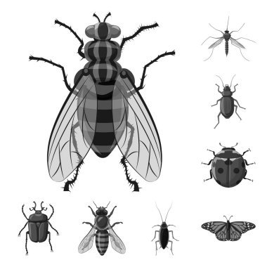 Böcek ve sinek işareti vektör Illustration. Böcek ve öğe hisse senedi simgesi için web topluluğu.