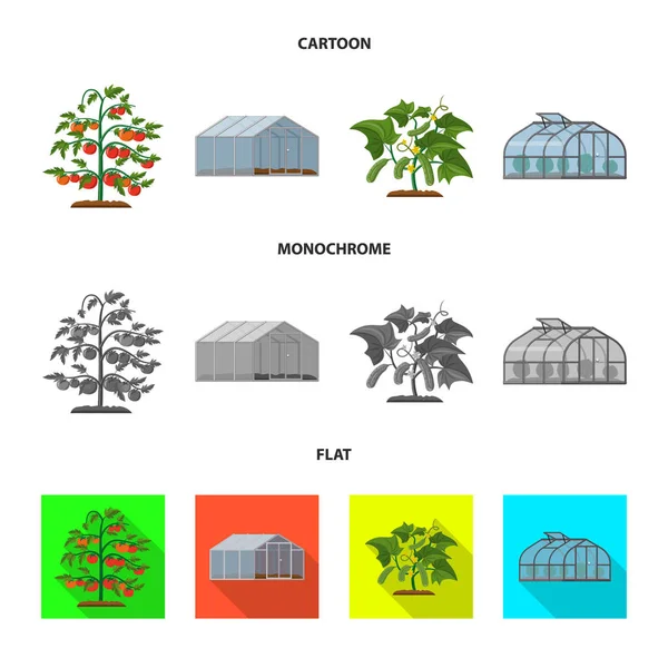 Na białym tle obiekt symbolu cieplarnianych i roślin. Kolekcja cieplarnianych i ogród Stockowa ilustracja wektorowa. — Wektor stockowy