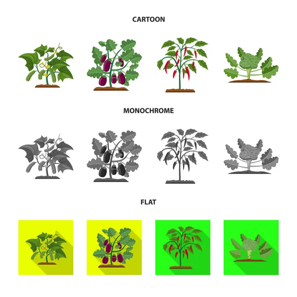 Objet isolé de serre et icône de la plante. Ensemble de serre et de jardin stock symbole pour le web . — Image vectorielle