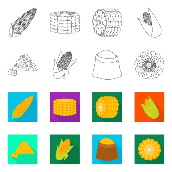 Mısır tarlası ve sebze simge vektör Illustration. Mısır tarlası ve vejetaryen hisse senedi simgesi için web topluluğu. — Stok Vektör