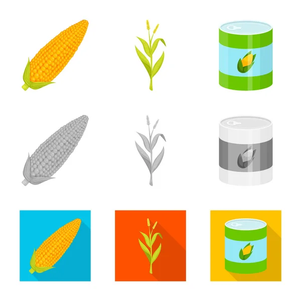 Conception vectorielle du champ de maïs et du symbole végétal. Ensemble de symbole de champ de maïs et de stock végétarien pour la toile . — Image vectorielle