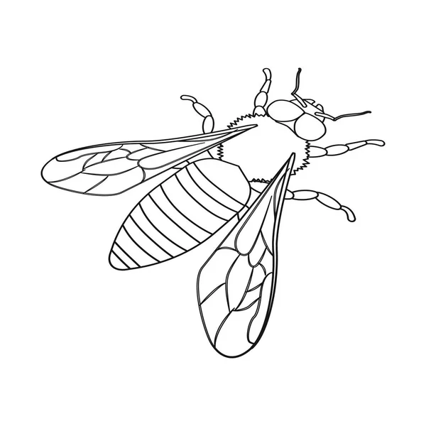 Wektor projekt Bumblebee i dziki symbol. Zestaw Bumblebee i biologii symbol akcji dla www. — Wektor stockowy