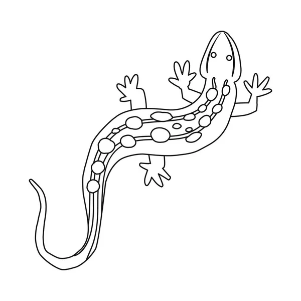 Ilustración vectorial de lagarto y logotipo verde. Colección de lagarto y gatear icono de vector para stock . — Archivo Imágenes Vectoriales
