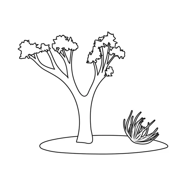 Isolerat objekt av träd och Tumbleweed ikon. Samling av Tree och västra aktiesymbol för rengöringsduk. — Stock vektor