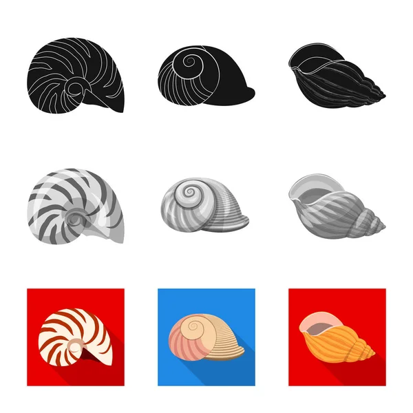 Vector ontwerp van dier en decoratie logo. Collectie van dier en Oceaan aandelensymbool voor web. — Stockvector