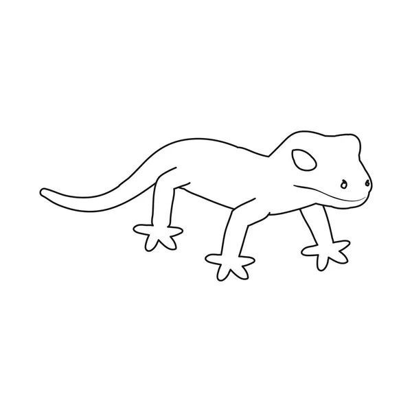 Ilustración vectorial de lagarto e icono verde. Conjunto de lagarto y símbolo de stock para colorear para web . — Vector de stock