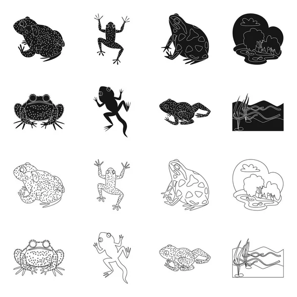 Vektorillustration av vilt och mossikon. Uppsättning av vilda djur och reptil stock symbol för webben. — Stock vektor
