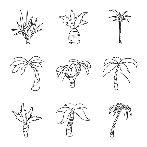 Vektorillustration des tropischen und sommerlichen Zeichens. Sammlung tropischer und botanischer Aktiensymbole für das Web. — Stockvektor