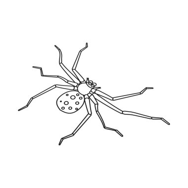 Örümcek ve dul logosuizole nesne. Web için örümcek ve komik stok sembolü seti.