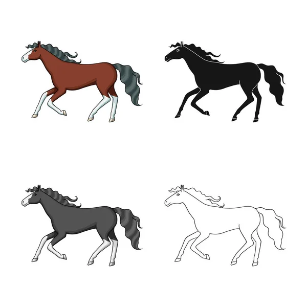 Ilustração vetorial de cavalo e sinal marrom. Conjunto de cavalo e galope vetor ícone para estoque . —  Vetores de Stock