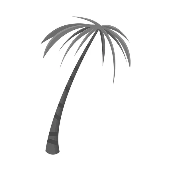 Vektordesign der Handfläche und des großen Symbols. Sammlung von Vektorillustrationen für Palmen und Kokos. — Stockvektor