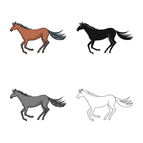 Desenho vetorial do ícone de cavalo e hipódromo. Conjunto de cavalo e salto ilustração vetor estoque . —  Vetores de Stock