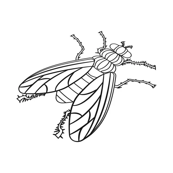 Diseño vectorial de mosca doméstica y símbolo de plaga. Colección de mosca doméstica y vector de insectos icono para la acción . — Vector de stock