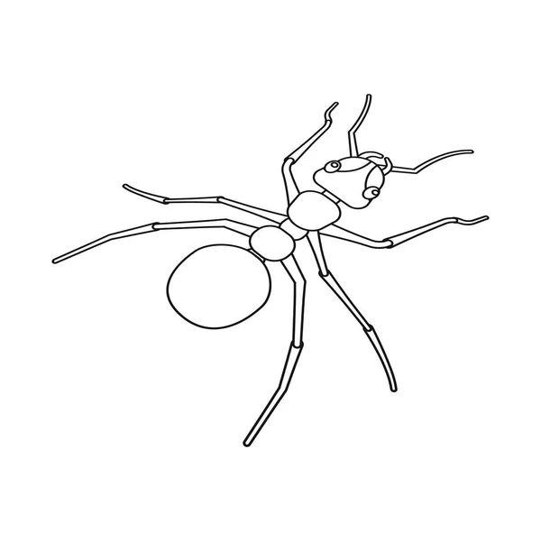 개미와 야생 로고의 고립 된 개체입니다. 재고 개미와 귀여운 벡터 아이콘의 컬렉션. — 스톡 벡터