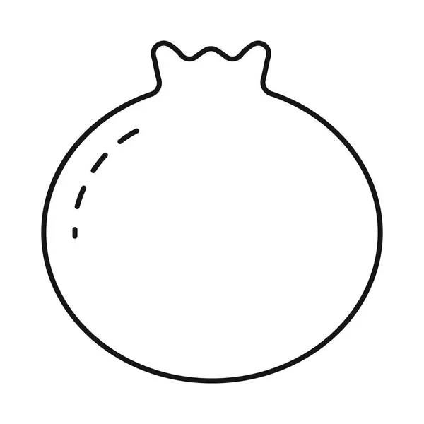 Ilustración vectorial de granada y símbolo de fruta. Colección de ilustración vectorial granada y botánica . — Archivo Imágenes Vectoriales