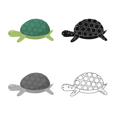 Kaplumbağa ve maori simgesinin vektör çizimi. Web için kaplumbağa ve hayvan stok sembolü seti.