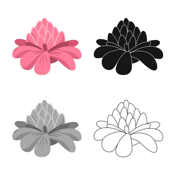 Conception vectorielle de symbole de fleur et de gingembre. Collection de fleurs et icône vectorielle rose pour stock . — Image vectorielle