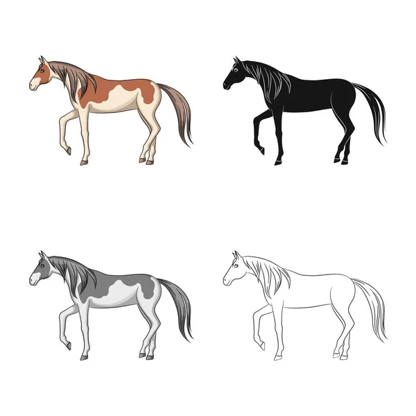 Векторная иллюстрация коня и коня. Набор конных и западных векторных значков для склада . — стоковый вектор
