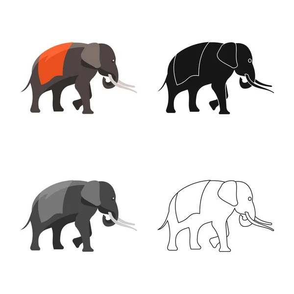 Objeto aislado de elefante e icono de paseo. Colección de elefante y asiático stock vector ilustración . — Vector de stock