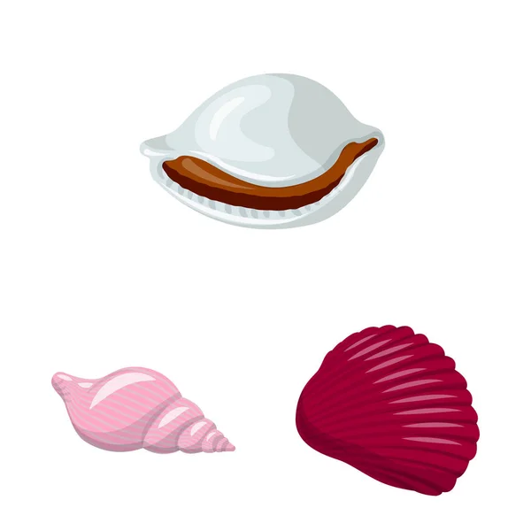 Изолированный объект с логотипом ракушки и моллюска. Набор ракушек и морепродуктов символ для паутины . — стоковый вектор