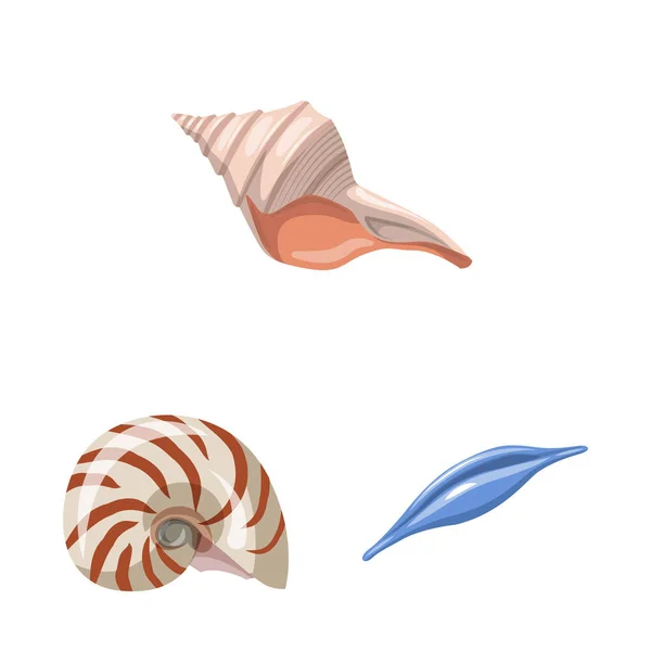 Vector illustratie van Seashell en weekdier icoon. Set van Seashell en zeevruchten vector pictogram voor voorraad. — Stockvector