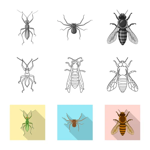 Vektorillustration von Insekten- und Fliegensymbol. Sammlung von Insekten- und Elementvektorsymbolen für Aktien. — Stockvektor