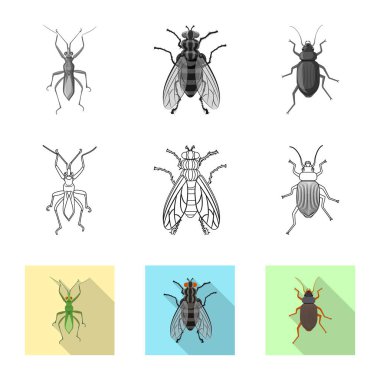 Böcek ve sinek simge vektör tasarımı. Böcek ve öğe vektör simgesini hissenin topluluğu.