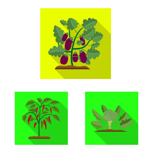 Ilustración vectorial del icono de invernadero y planta. Conjunto de icono de vector de invernadero y jardín para stock . — Vector de stock