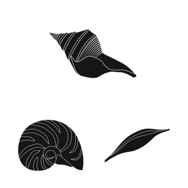 Doğa ve okyanus simgesi yalıtılmış nesne. Hisse senedi için doğa ve yumuşakça vektör simge topluluğu.