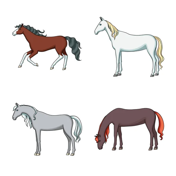 Conception vectorielle du signe animal et étalon. Ensemble d'icône vectorielle animale et agricole pour le stock . — Image vectorielle