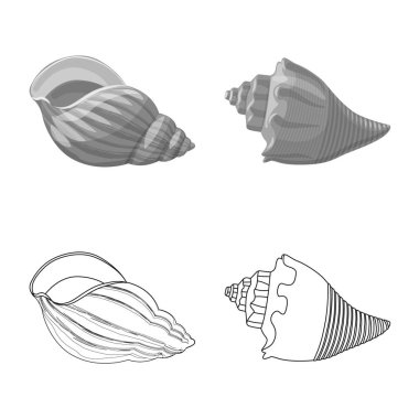 Hayvan ve dekorasyon logo vektör tasarımı. Hayvan ve okyanus hisse senedi vektör çizim topluluğu.