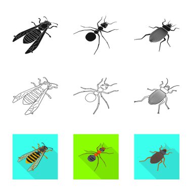 Doğanın izole nesne sembolize ve yaban hayatı sembolü. Stok lar için doğa ve kanat vektör simgesinin toplanması.