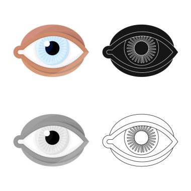 Göz ve göz küresi simgesinin izole nesnesi. Stok için göz ve mavi vektör simgesi kümesi.