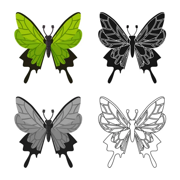 Objet isolé du symbole papillon et ailes. Collection de papillons et d'ailes symbole de stock pour la toile . — Image vectorielle